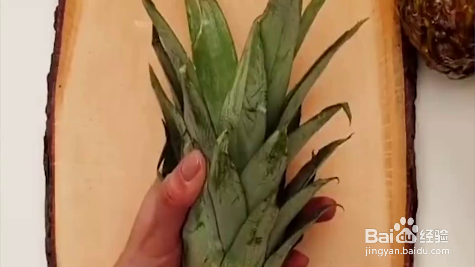 教你水果种植小技巧？