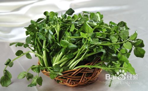 青菜的营养价值