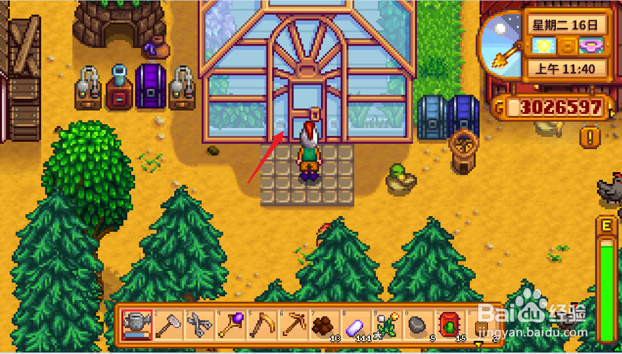 星露谷物语仙人掌怎么种