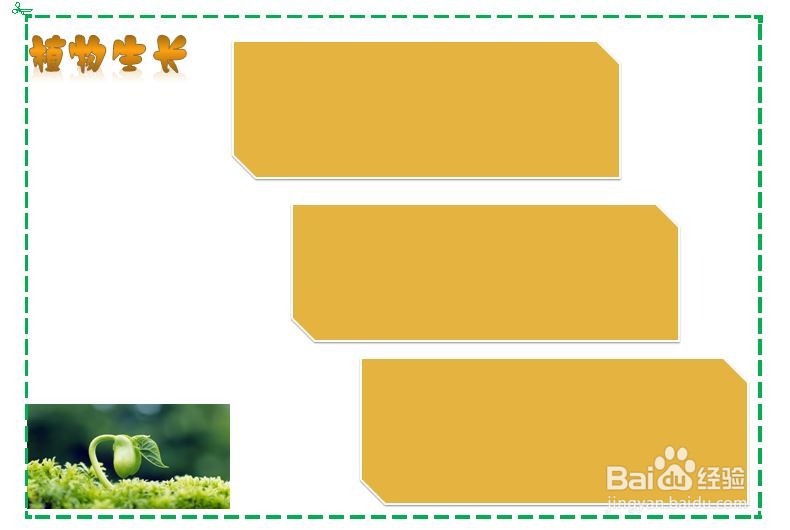 植物生长手抄报