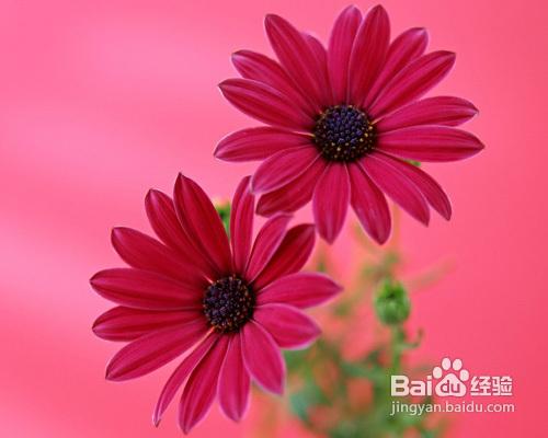 用PhotoShop和ImageReady制作Gif动画【图解】