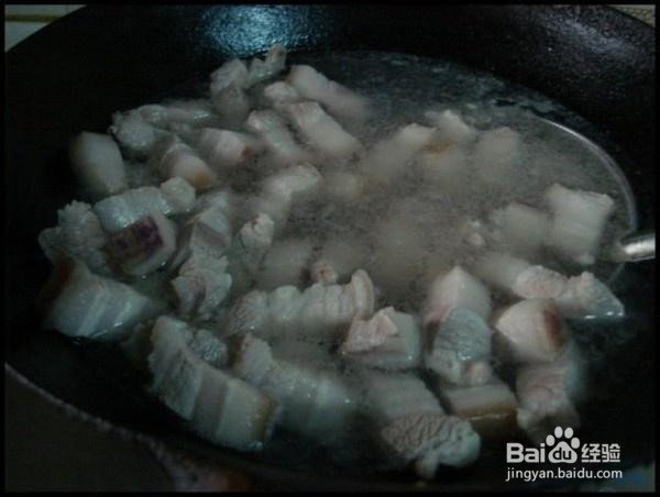 家庭自制猪肉炖粉条