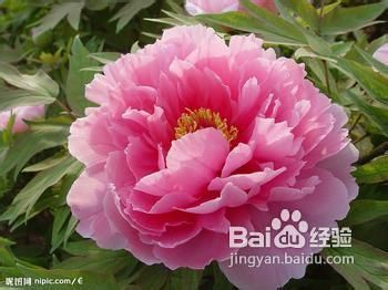 什么方法可以治疗早泄 。。