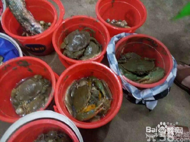 赶海一号自助攻略