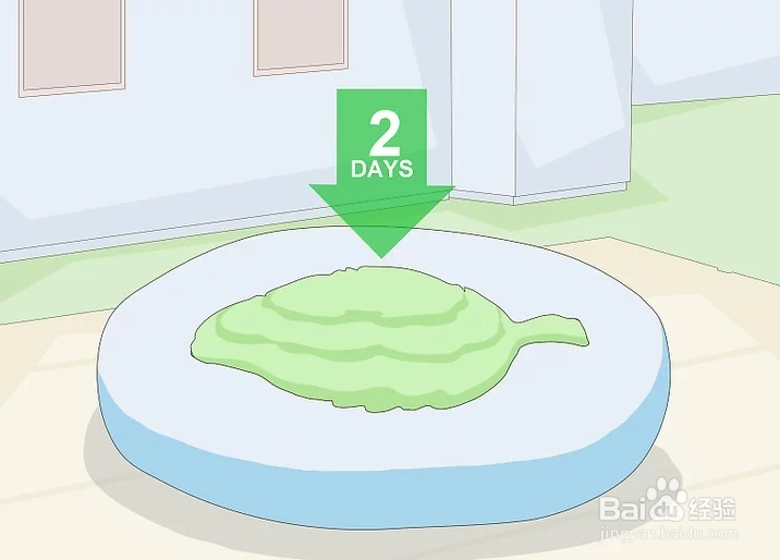 如何使用明胶或琼脂制造生物塑料