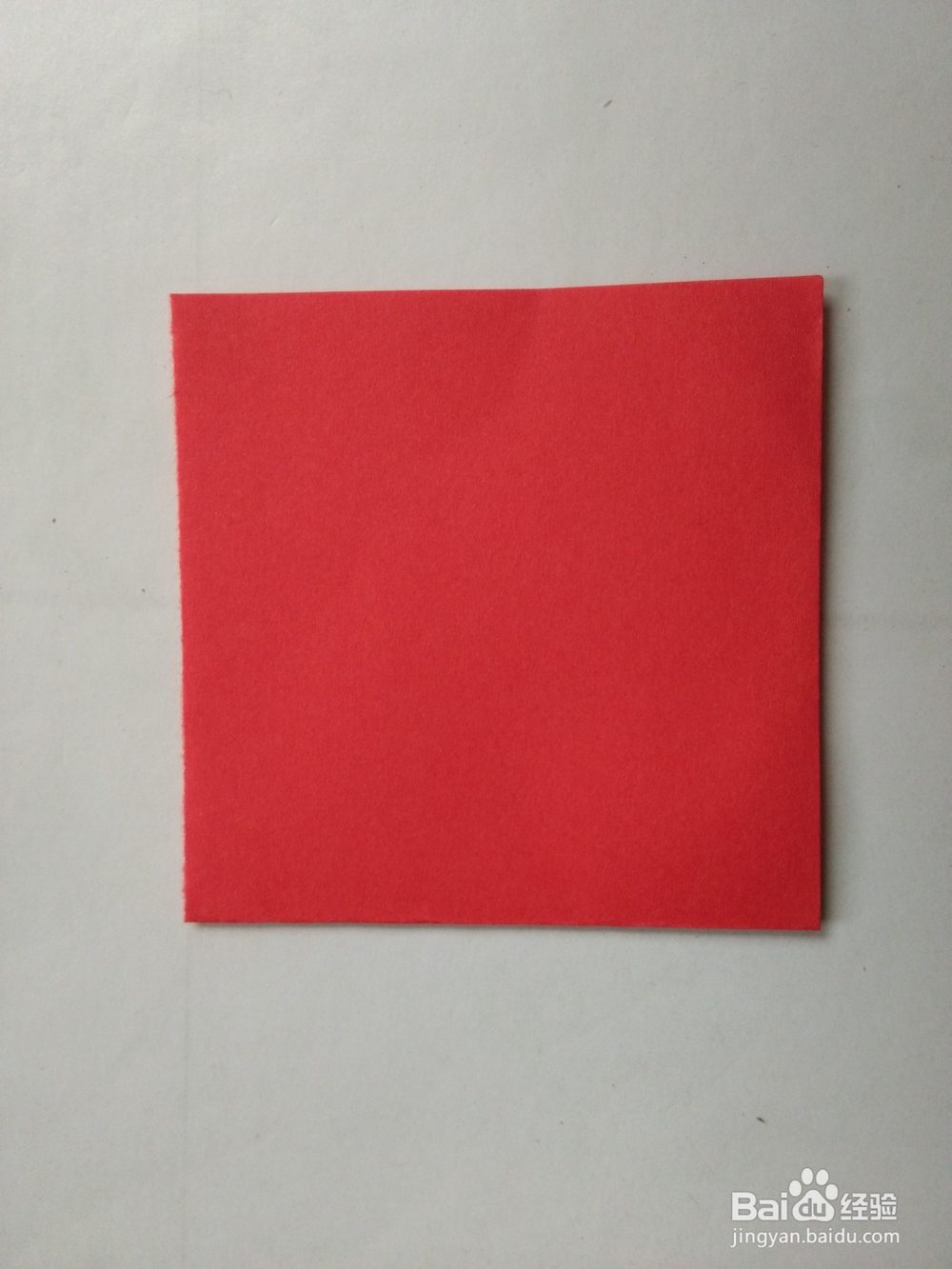 剪纸——怎么剪牵牛花2