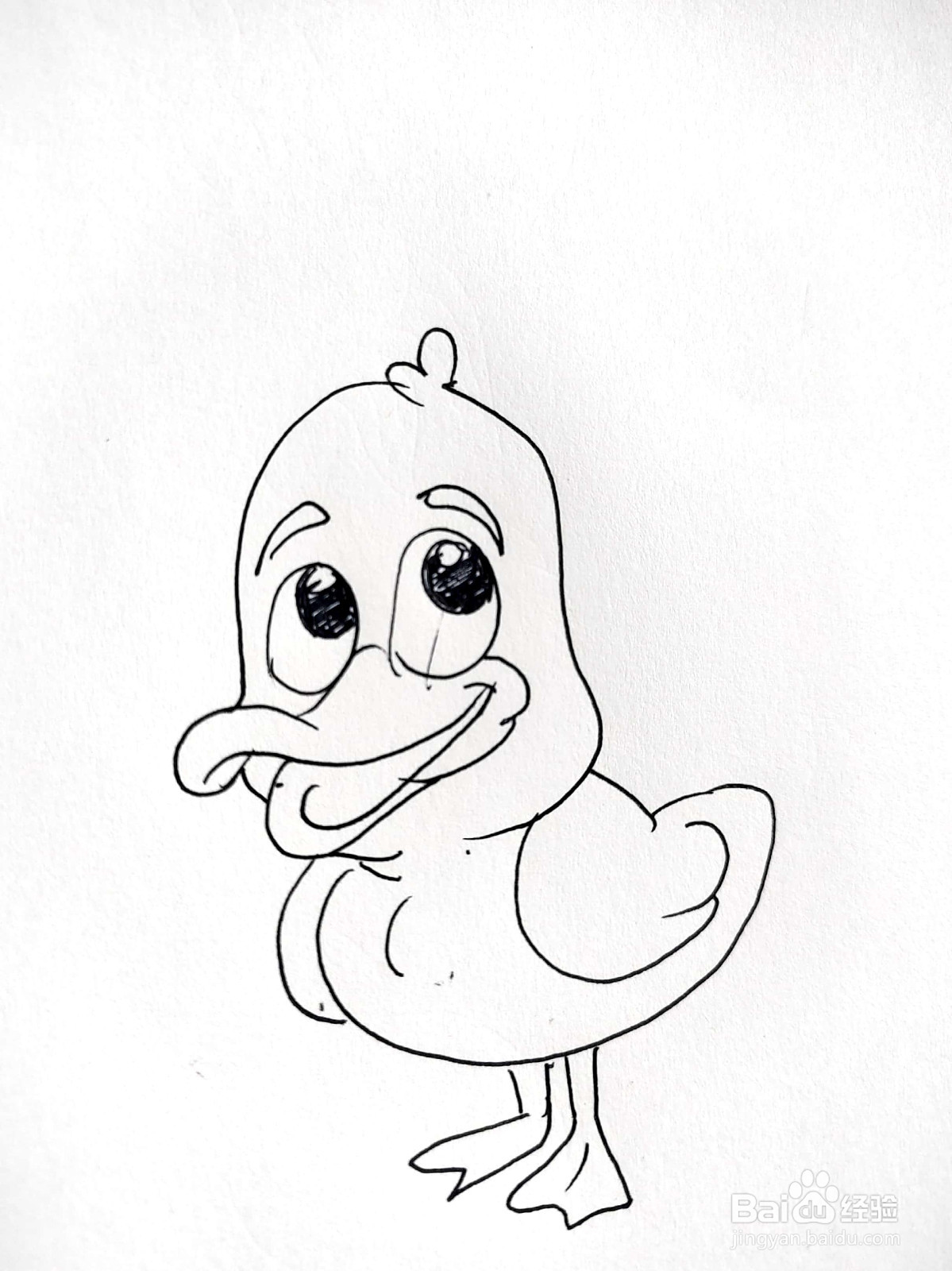 萌萌的小鸭子线描画怎么画
