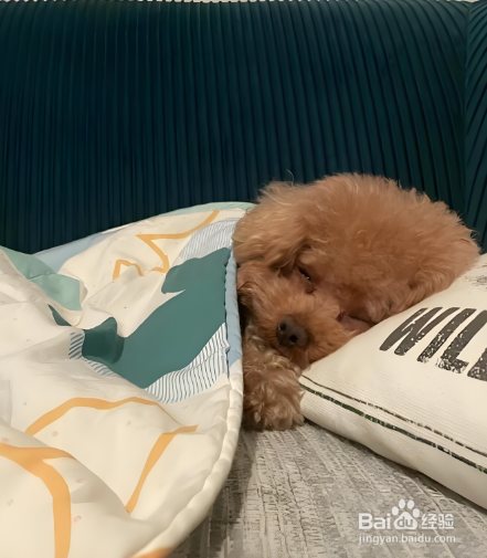 吃维生素C不能预防感冒？