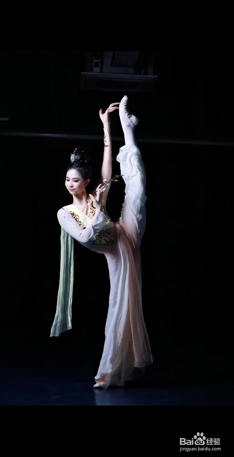 古典舞舞蹈形式有哪些？