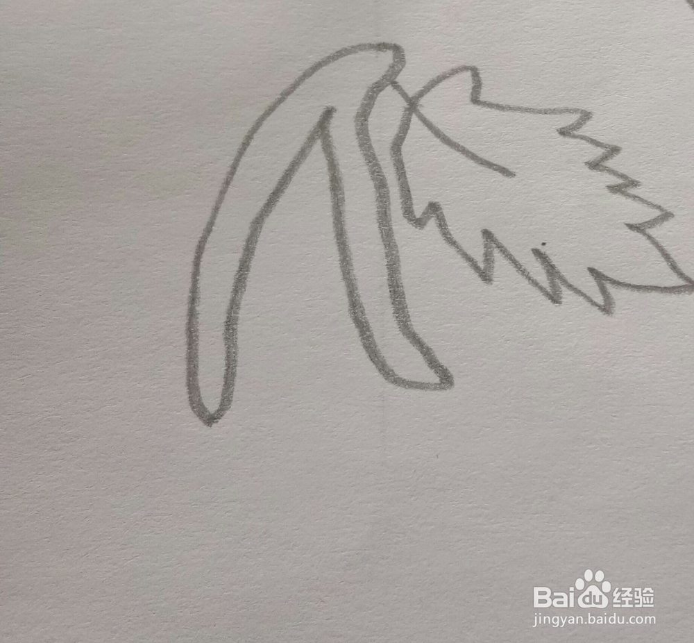 简笔画樱桃的画法5