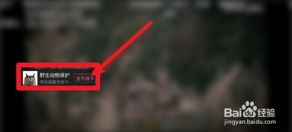 B站公益平台怎么用