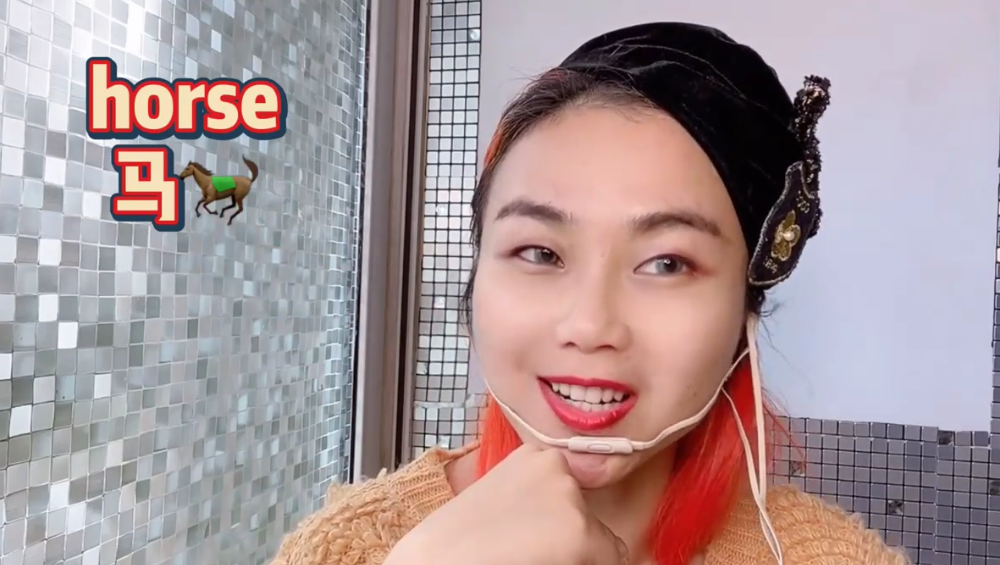 各种动物的英文是什么