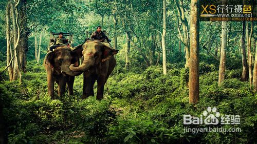 尼泊尔旅游摄影团摄影旅行须知