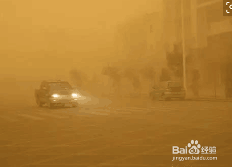 春天外出踏青要注意哪些问题