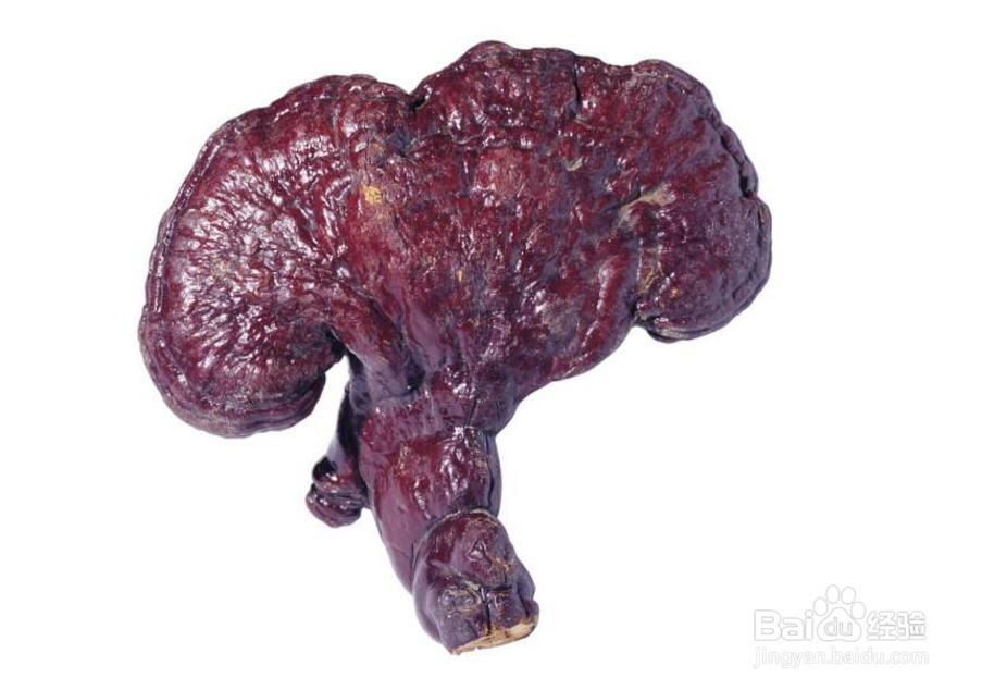 嗅觉失灵是什么原因?