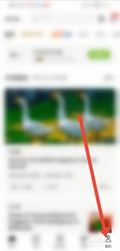 如何使用扇贝阅读APP设置查词自动发音？