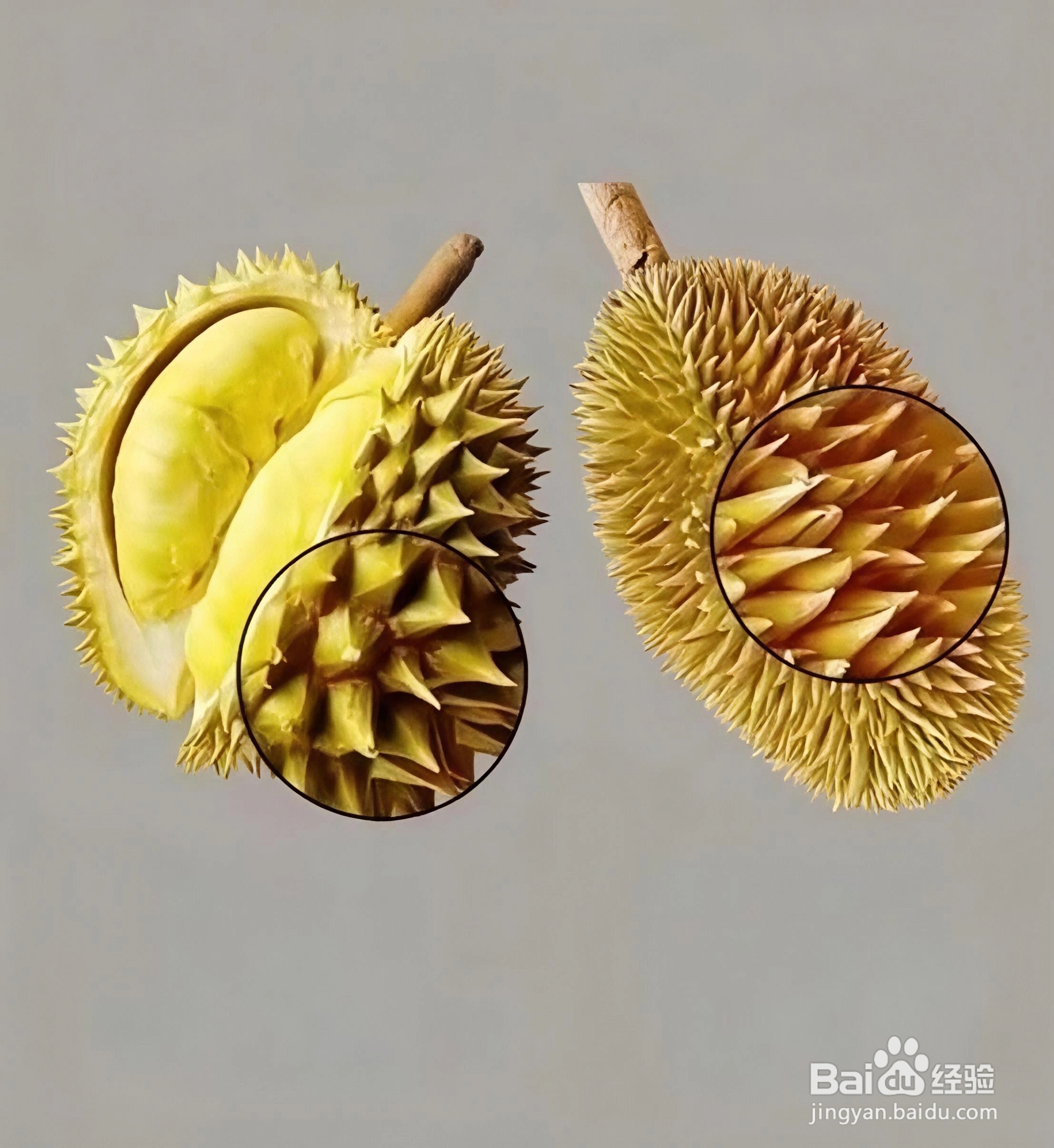 如何挑选榴莲？