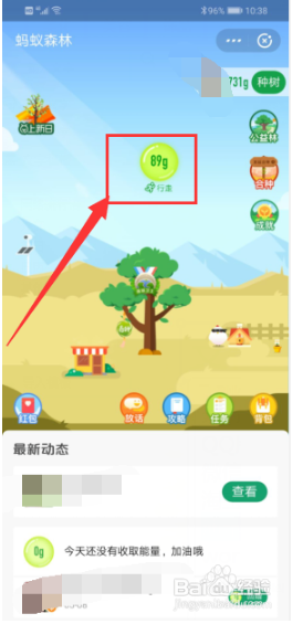 支付宝蚂蚁森林怎么收取能量