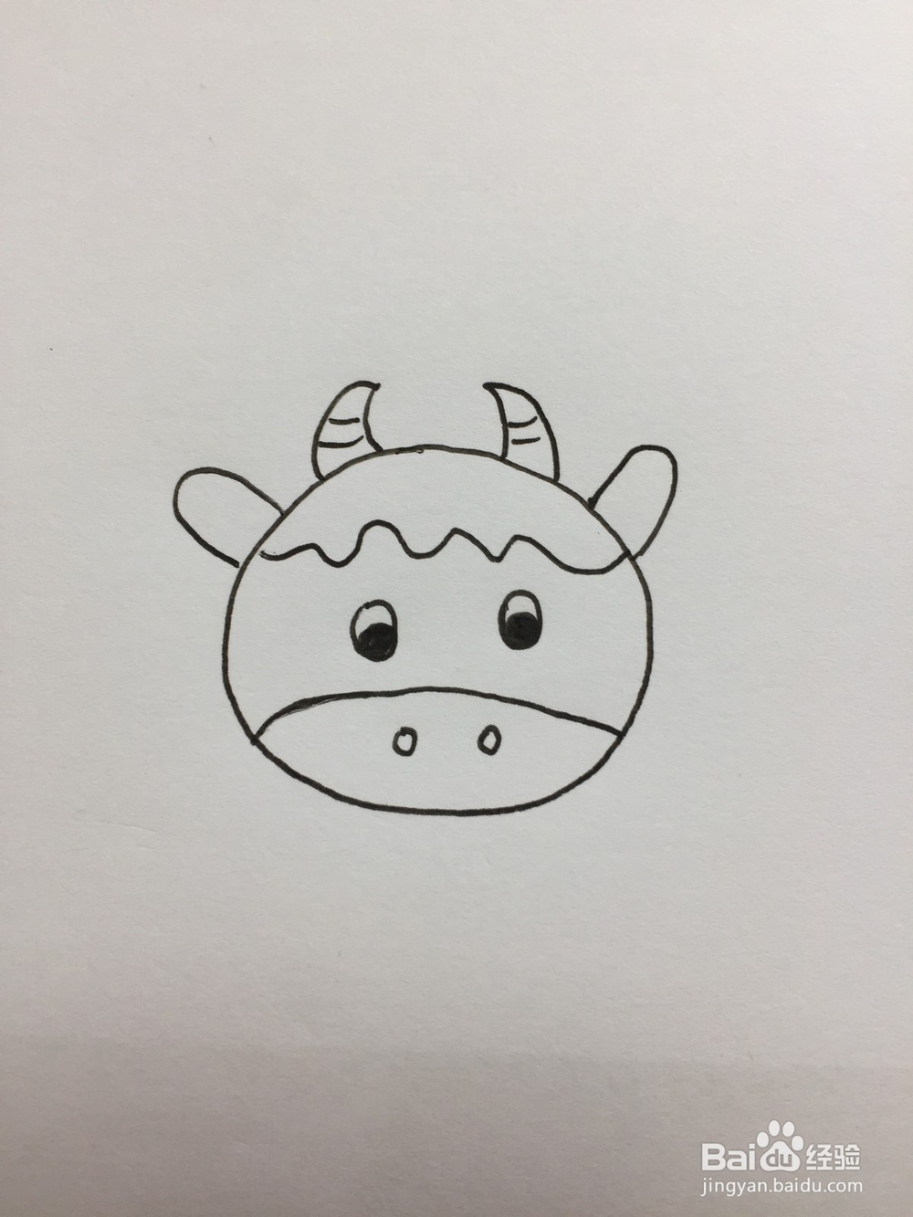 奶牛的简单画法