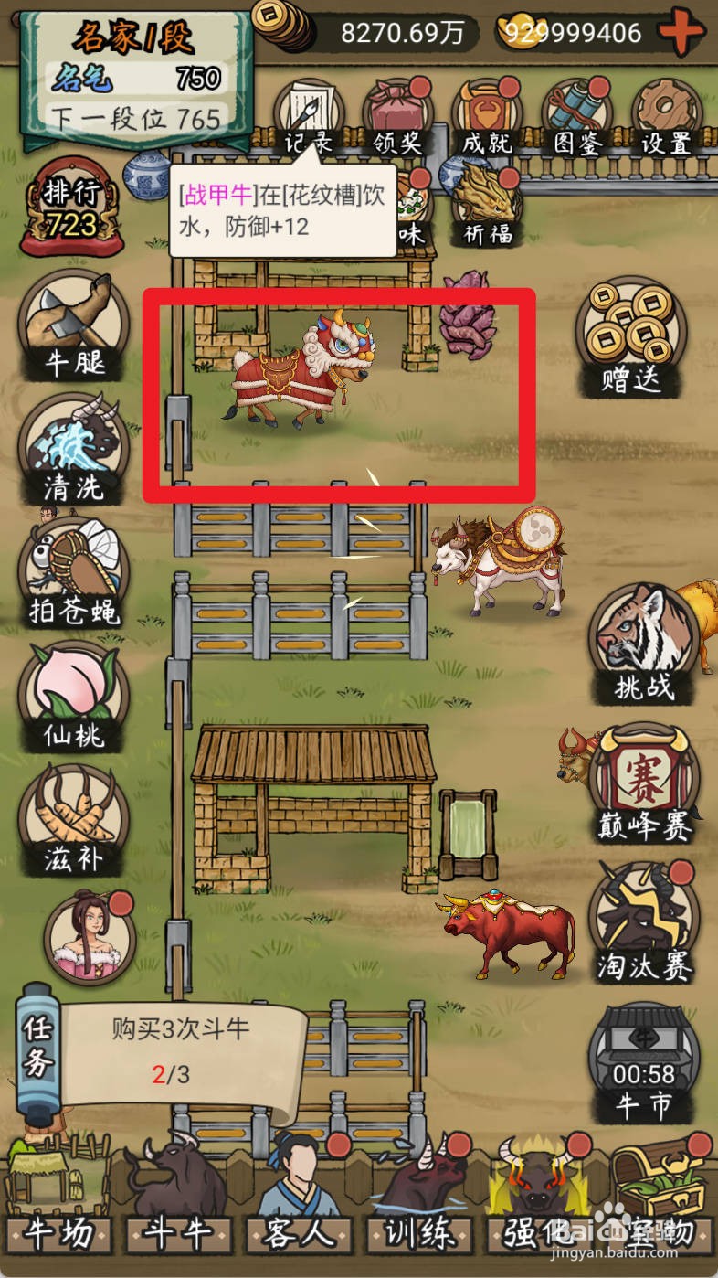 叫我养牛王如何购买顶过母狮子的狮子牛