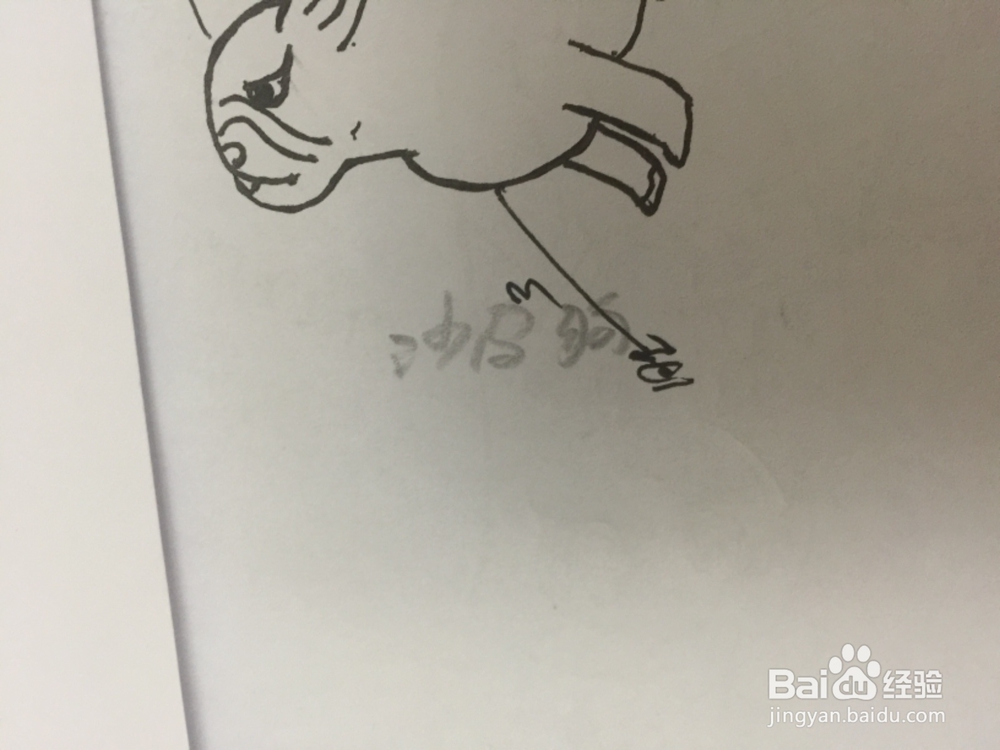 如何画在想问题的沙皮狗。