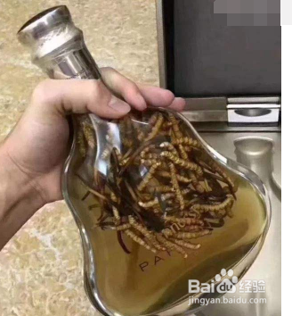 冬虫夏草能泡酒吗 冬虫夏草泡酒的方法