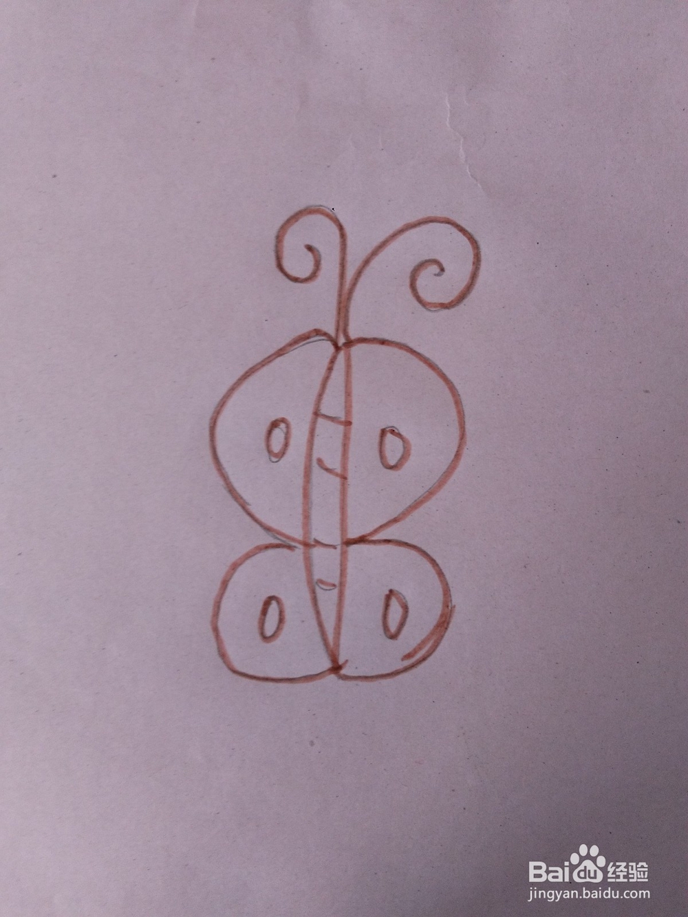 用字母B能画一个什么小动物