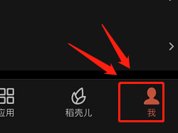苹果wps在哪里查看版本号