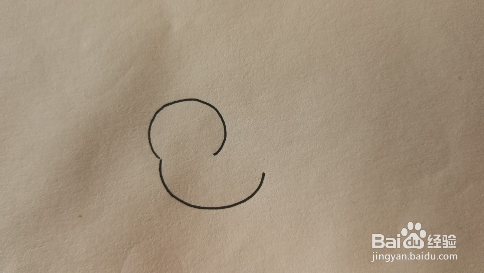 #经验分享官#小鸡的简笔画