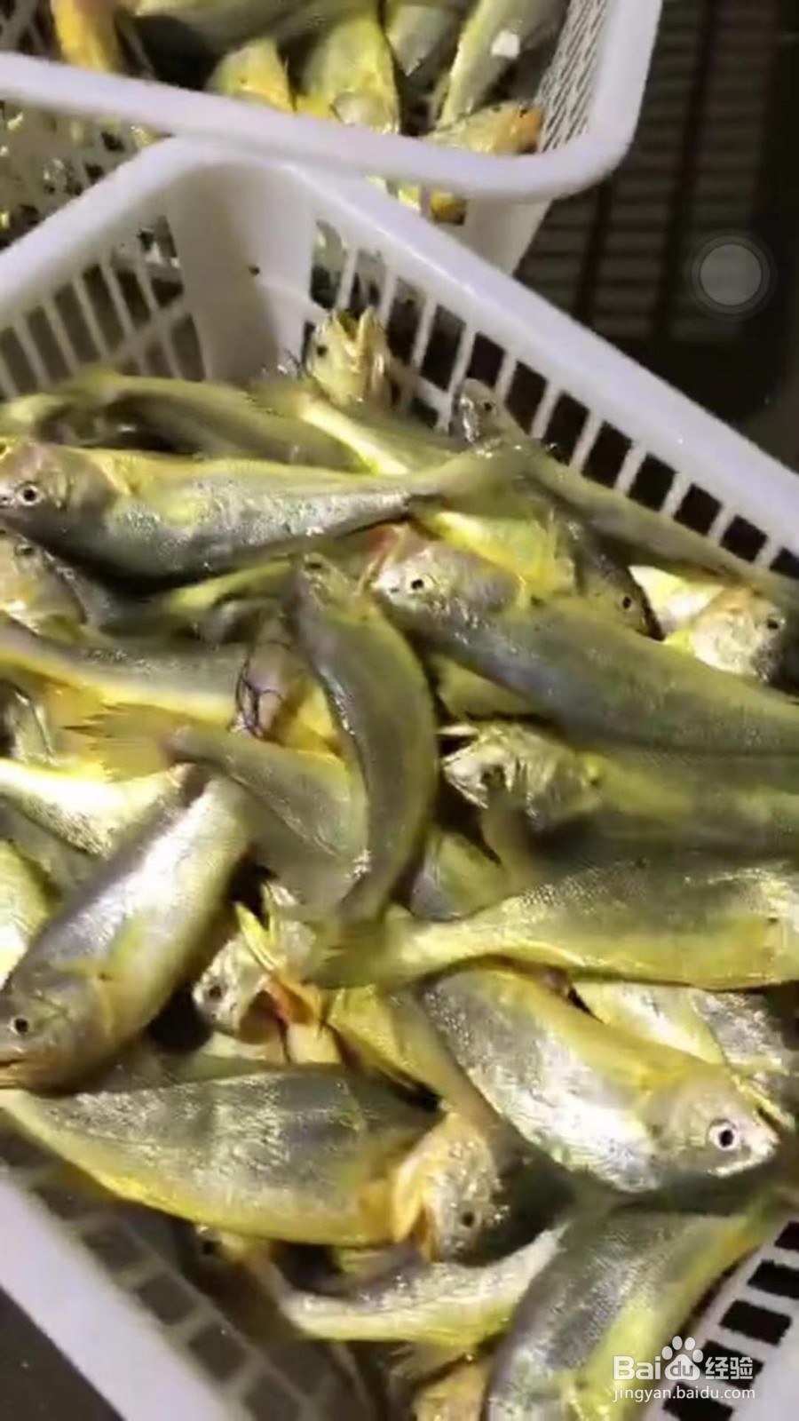 黄花鱼汤怎么煮好喝
