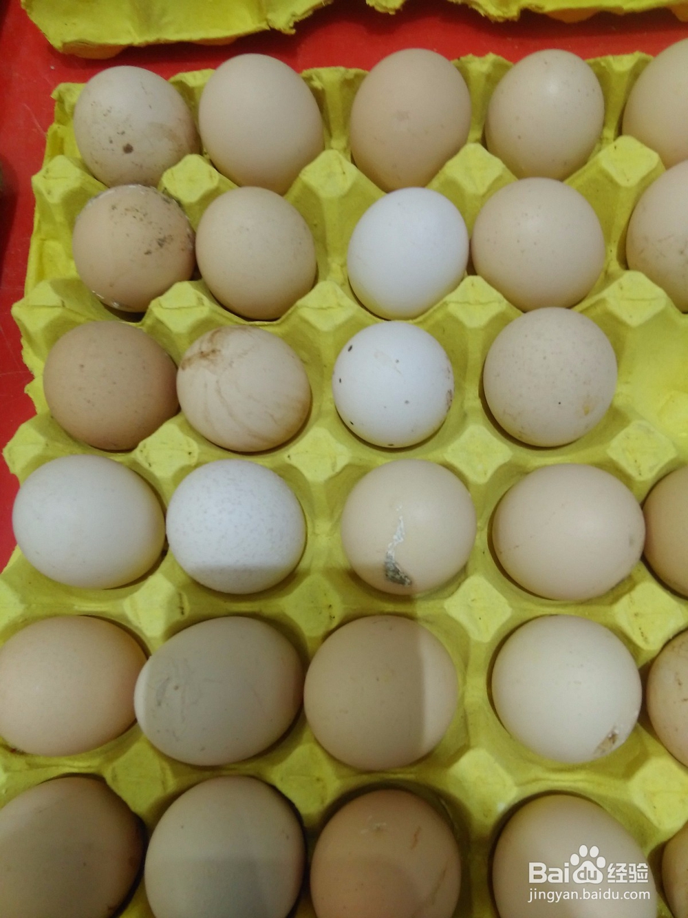 好吃美食茄汁大力丸