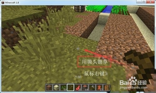 我的世界怎么找到马，怎么喂马？