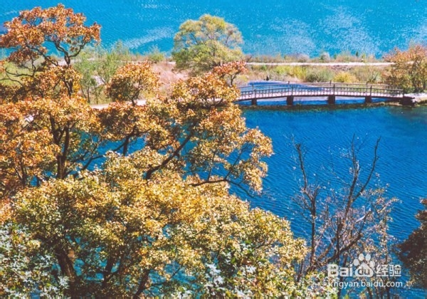 丽江还值得一去的“小景点”