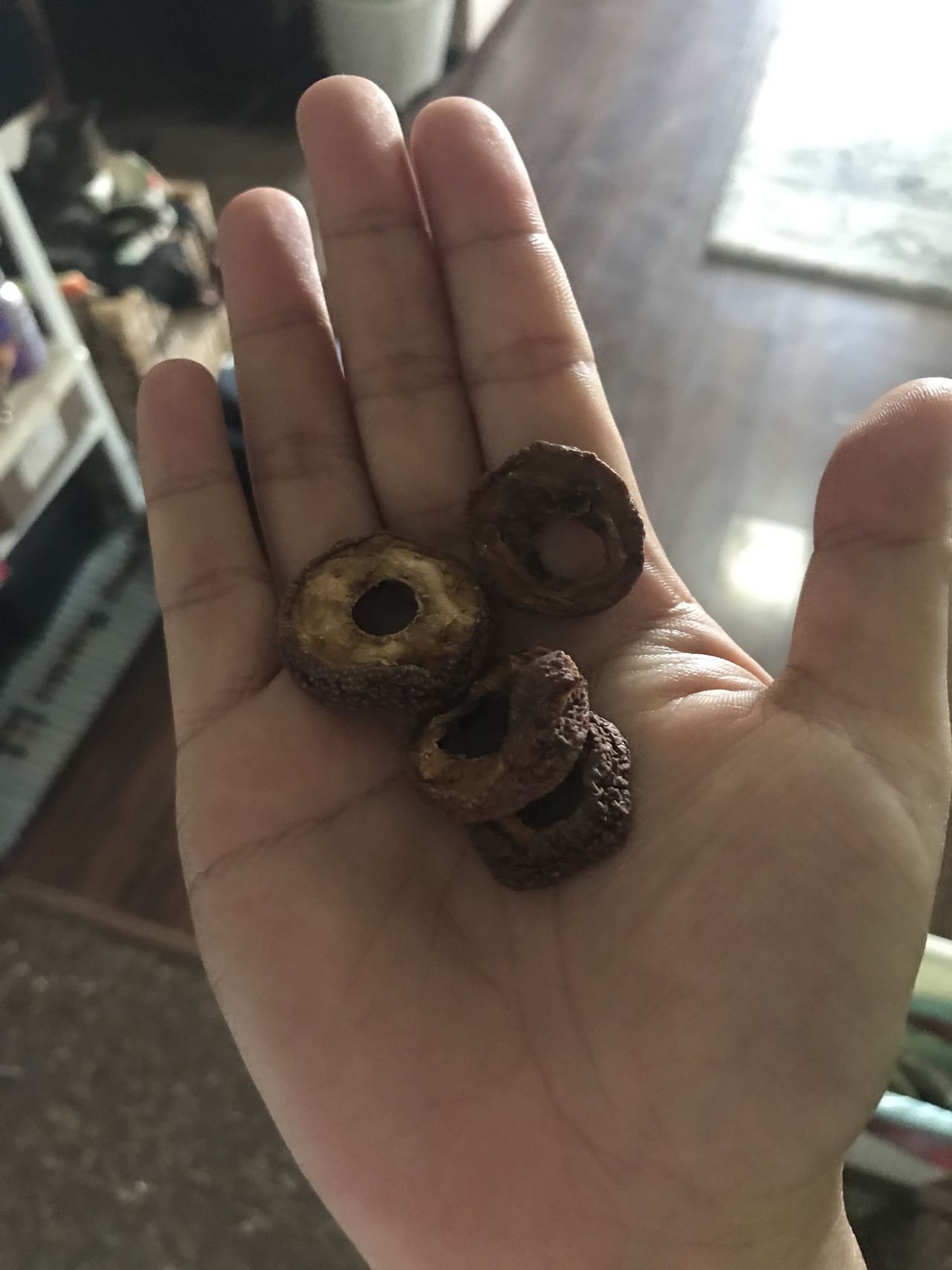 手把手教会你排骨玉米豆角炖的做法