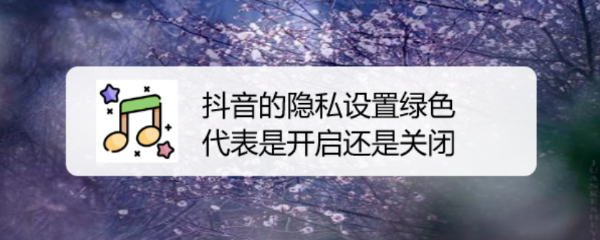 抖音的隐私设置绿色代表是开启还是关闭
