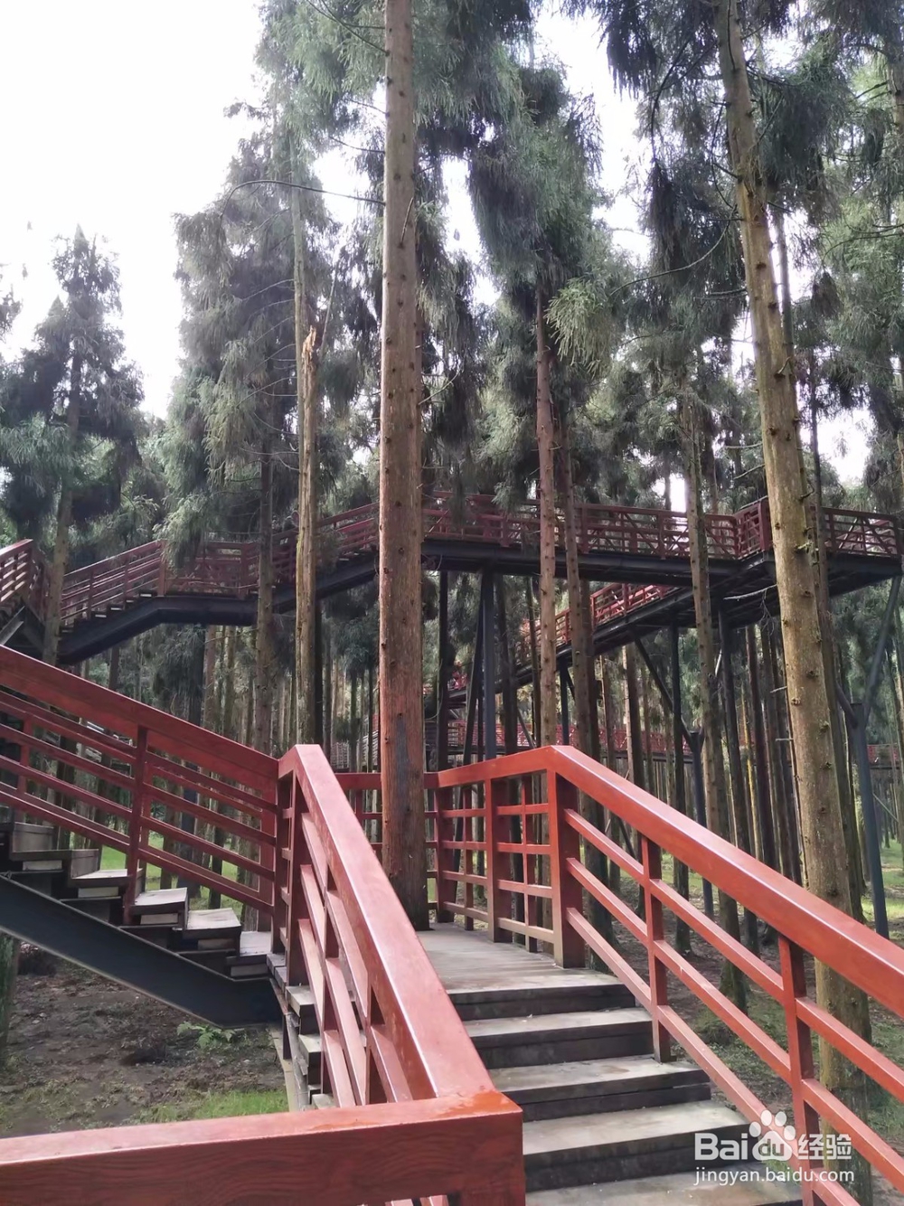 邛崃天台山攻略