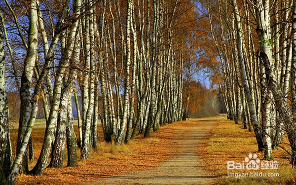 冬天骑车必备品