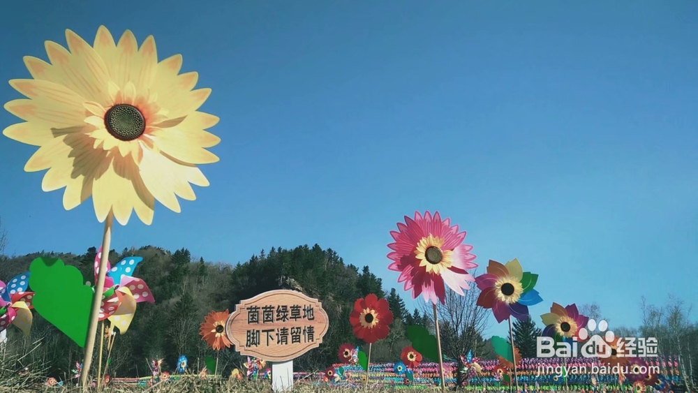 风车节成功举办的经验心得