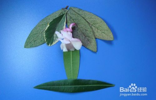 植物拼装画之漂亮的小台灯 百度经验