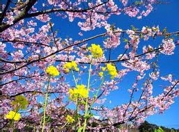 怎样能够得到别人信任