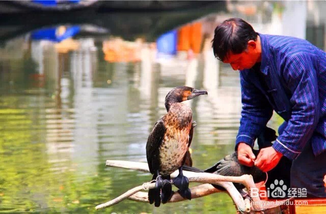 此情可待成追忆，忆周庄