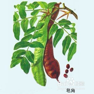 怎么正确洗头,头皮护理小妙招!
