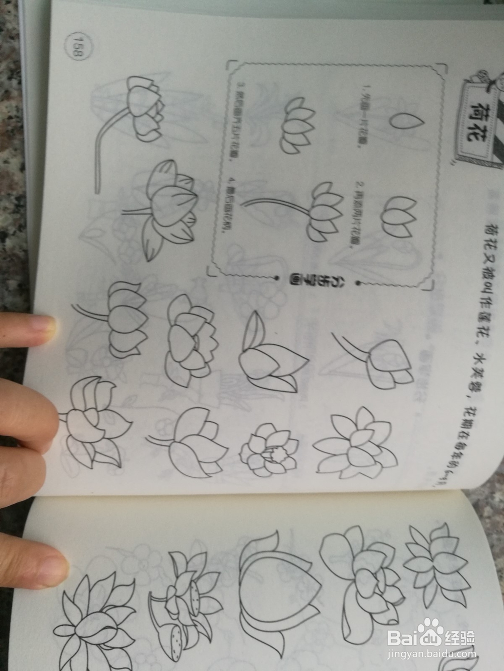 如何自学简笔画