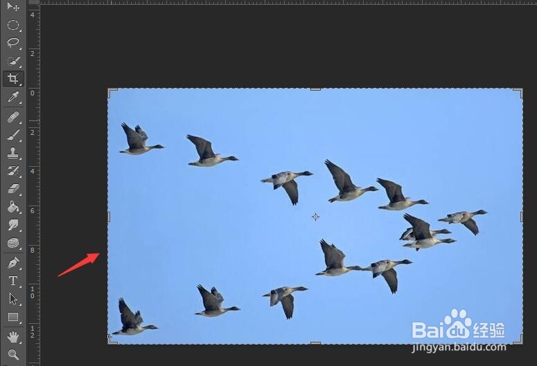 ps软件中如何使用裁剪工具?