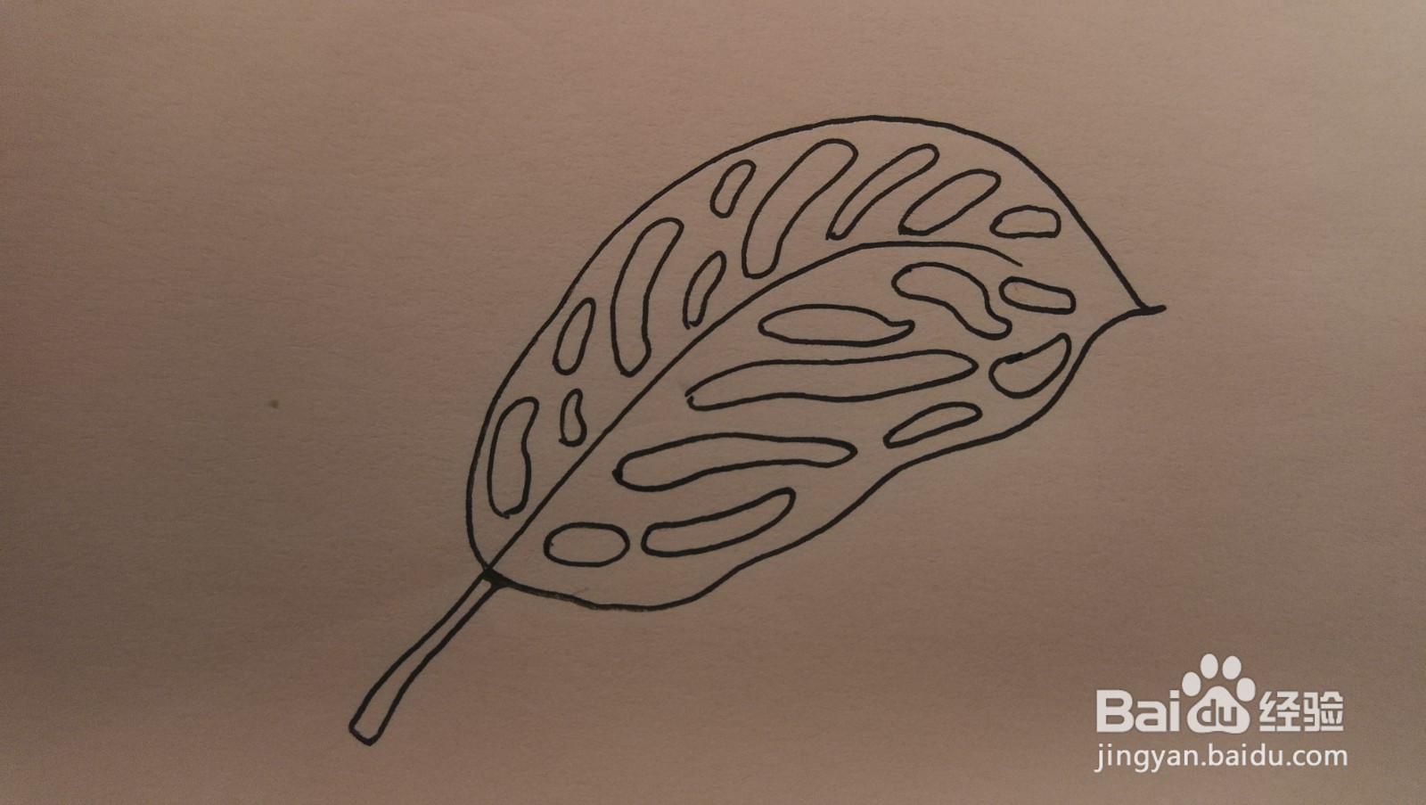 #经验分享官#黑白洞洞叶子简笔画