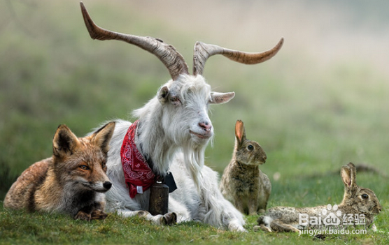 怎样保持自己的记忆力？