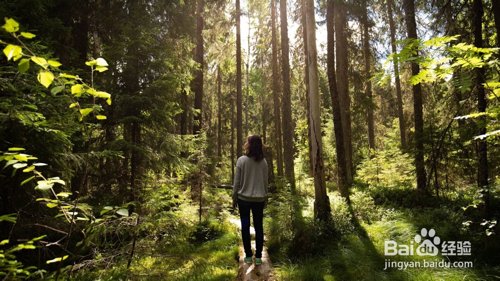 在芬兰可持续旅游的10个贴士