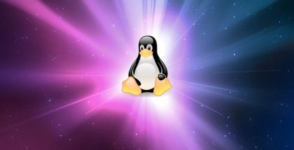 <b>Linux系统发行版详解</b>