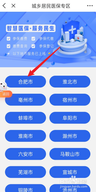 安徽农保怎么网上缴费