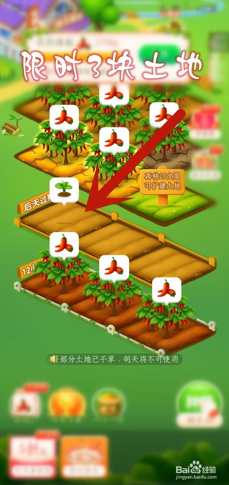 多多菜园怎么领喜迎周末限时土地